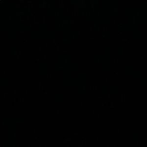 Meet your Posher, Darrel